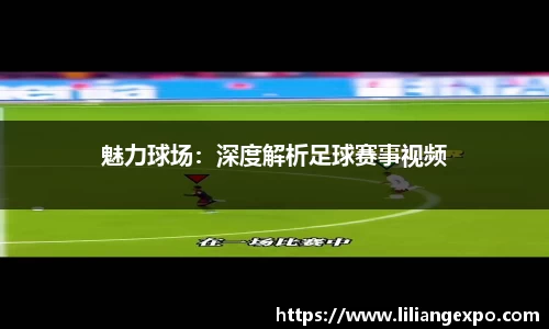 魅力球场：深度解析足球赛事视频
