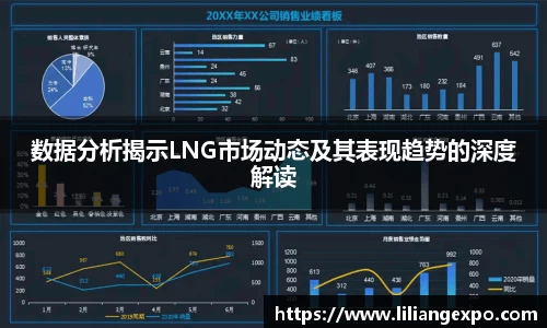 数据分析揭示LNG市场动态及其表现趋势的深度解读