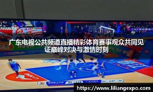 广东电视公共频道直播精彩体育赛事观众共同见证巅峰对决与激情时刻