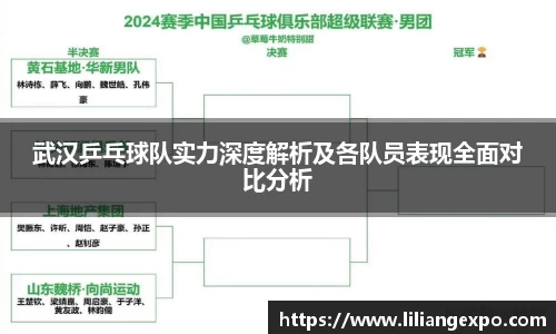武汉乒乓球队实力深度解析及各队员表现全面对比分析