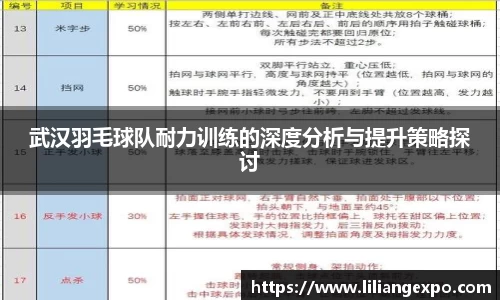 武汉羽毛球队耐力训练的深度分析与提升策略探讨