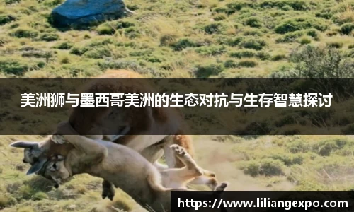 QY球友会官网