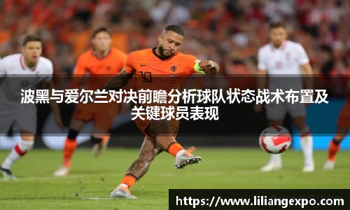 波黑与爱尔兰对决前瞻分析球队状态战术布置及关键球员表现