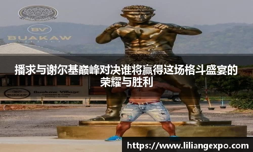 播求与谢尔基巅峰对决谁将赢得这场格斗盛宴的荣耀与胜利